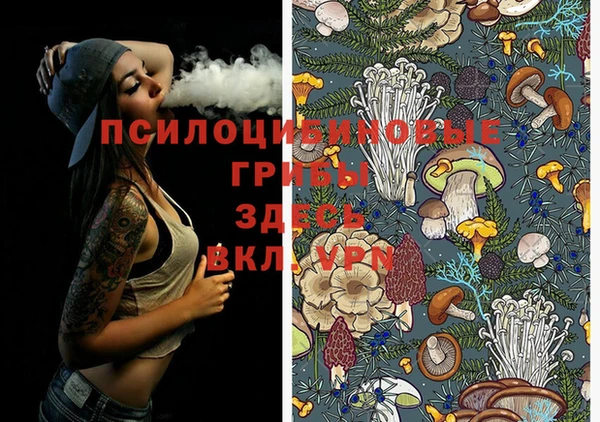 дмт Абдулино