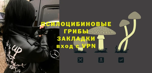 хмурый Алексин
