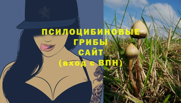 дмт Абдулино