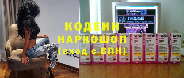хмурый Алексин