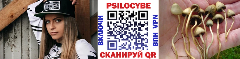 ссылка на мегу как войти  Приволжский  Галлюциногенные грибы мицелий 